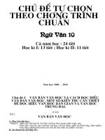 chu de tu chon 10 20122013