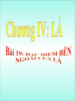 Bai 19 Dac diem ben ngoai cua la
