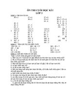 de cuong on tap lop 3