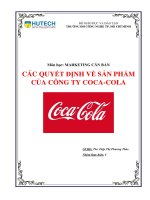 Các quyết định về sản phẩm coca cola