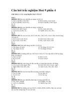 Cau hoi trac nghiem on tap hoa 9 phan 4