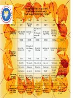 Thoi khoa bieu tuan II thang 1 cua be Tiny