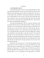 Tổ chức và hoạt động của ủy ban nhân dân phường từ thực tiễn thành phố hồ chí minh 