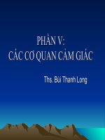 Cac co quan cam giac