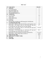 (Sáng kiến kinh nghiệm) một số biện pháp nâng cao chất lượng đội ngũ giáo viên trường mầm non hà lan 