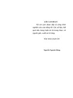 Nâng cao chất lượng đội ngũ cán bộ chủ chốt cấp huyện ở thành phố hà nội hiện nay 