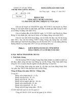 Bao cao tong ket chi bo nam 2012