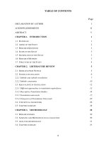 Equivalence in the vietnamese translation of sherlock from netflix 