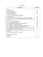 (Sáng kiến kinh nghiệm) một số giải pháp rèn chữ viết cho học sinh lớp 1 