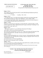 DE THI HSG HOA CAP HUYEN