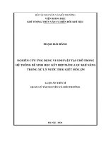 Nghiên cứu ứng dụng vi sinh vật tại chỗ trong hệ thống bể sinh học kết hợp màng lọc khí nâng trong xử lý nước thải giết mổ lợn 