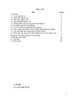 (Sáng kiến kinh nghiệm) kinh nghiệm hướng dẫn học sinh lớp 6 rèn luyện kỹ năng giải toán về phân số, ở trường THCS dân tộc nội trú bá thước 