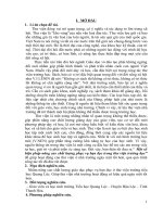 (Sáng kiến kinh nghiệm) một số sáng kiến kinh nghiệm nâng cao chất lượng phục vụ bạn đọc trong thư viện trường học 