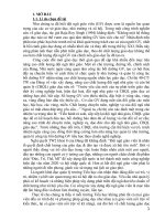 (Sáng kiến kinh nghiệm) một số biện pháp nâng cao chất lượng đội ngũ giáo viên tiểu học 