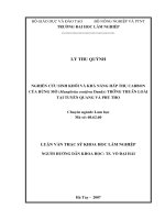 (Luận văn thạc sĩ) nghiên cứu sinh khối và khả năng hấp thụ carbon của rừng mỡ (manglietia conifera dandy) 