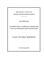 Tài liệu luận văn Giải Pháp Nâng Cao Hiệu Quả Kinh Doanh Vàng Tại Vietinbank