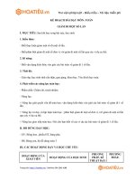 Tải Kế hoạch bài dạy minh họa mô đun 4 môn Toán Tiểu Học - HoaTieu.vn