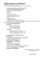 THONG BAO CUA CHI DOAN VE GIAI DAUCAAIF LONG