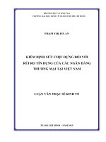 Tài liệu luận văn Kiểm Định Sức Chịu Đựng Đối Với Rủi Ro Tín Dụng Của Các Ngân Hàng