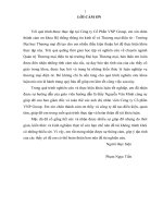 Tối ưu hóa công cụ tìm kiếm google cho website vnpgroup.vn của Công ty Cổ phần VNP Group