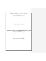 (Luận văn thạc sĩ) hoạt động giám sát của hội đồng nhân dân cấp tỉnh từ thực tiễn tỉnh đắk lắk 