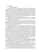 (Sáng kiến kinh nghiệm) một số kinh nghiệm để thực hiện tốt công tác XHH giáo dục ở trường tiểu học quảng nhân, quảng xương 