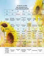 Thoi khoa bieu tuan I thang 12cua be Tiny Star