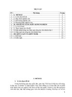 (Sáng kiến kinh nghiệm) một số kinh nghiệm nâng cao hiệu quả công tác chủ nhiệm lớp một ở trường tiểu học cẩm phong, huyện cẩm thủy 