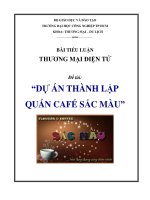 TMĐT  Tiểu luận dự án thành lập quán café sắc màu