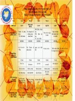 Thoi khoa bieu tuan I thang 12cua be Tiny Moon