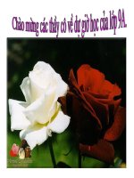 nguoi con gai nam xuong