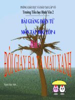 Doi giay ba ta mau xanh