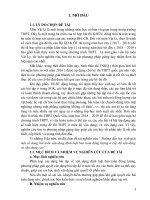 (Sáng kiến kinh nghiệm) hướng dẫn học sinh giải một số dạng toán vận dụng định luật bảo toàn động lượng ở cấp độ vận dụng và vận dụng cao 