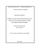 Nghiên cứu nhân giống một số dòng keo tai tượng (acacia mangium willd) ưu trội bằng phương pháp giâm hom​ 