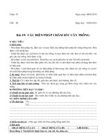 tuan 19tiet 202012 2013