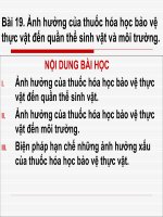 Bai 19 Anh huong cua thuoc hoa hoc bao ve thucvat den quan the sinh vat va moi truong
