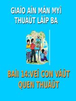 Bai 14 Ve Con Vat quen thuoc