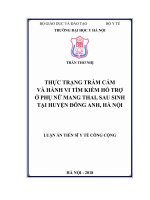 THỰC TRẠNG TRẦM CẢM VÀ HÀNH VI TÌM KIẾM HỖ TRỢ Ở PHỤ NỮ MANG THAI, SAU SINH TẠI HUYỆN ĐÔNG ANH, HÀ NỘI LUẬN ÁN TIẾN SĨ Y TẾ CÔNG CỘNG