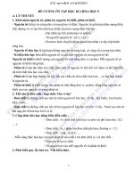 De cuong on tap Hoa hoc HKI lopa 8