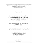 (Luận văn thạc sĩ) nghiên cứu hiện trạng các loài cây lâm sản ngoài gỗ trên các đảo thuộc vịnh hạ long, tỉnh quảng ninh 