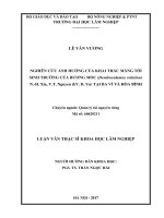 (Luận văn thạc sĩ) nghiên cứu ảnh hưởng của khai thác măng tới sinh trưởng của bương mốc (dendrocalamus velutinus n  h  xia, v t  nguyen  v  d  vu) tại ba vì và hòa bình​ 