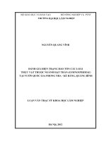 (Luận văn thạc sĩ) đánh giá hiện trạng bảo tồn các loài thực vật thuộc ngành hạt trần (gymnospermae) tại vườn quốc gia phong nha   kẻ bàng   quảng bình​ 