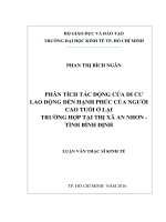 Luận văn thạc sĩ phân tích tác động của di cư lao động đến hạnh phúc của người cao tuổi ở lại 