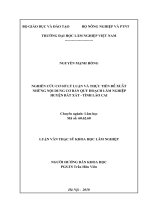 Nghiên cứu cơ sở lý luận và thực tiễn để đề xuất những nội dung cơ bản quy hoạch lâm nghiệp huyện bát xát   tỉnh lào cai​ 