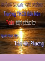 Mot phan tu