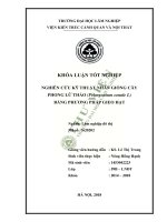 Nghiên cứu kỹ thuật nhân giống phong lữ thảo pelargonium zonale l bằng phương pháo gieo hạt 