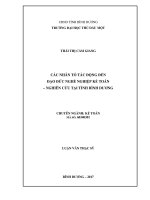Các nhân tố tác động đến đạo đức nghề nghiệp kế toán   nghiên cứu tại tỉnh bình dương 