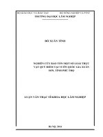 Nghiên cứu bảo tồn một số loài thực vật quý hiếm tại vườn quốc gia xuân sơn, tỉnh phú thọ 
