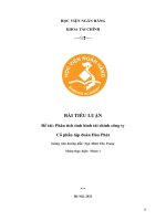 Phân tích tài chính doanh nghiệp (tập đoàn Hòa Phát)