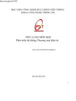 Tiểu luận môn Phát triển hệ thống thương mại điện tử: